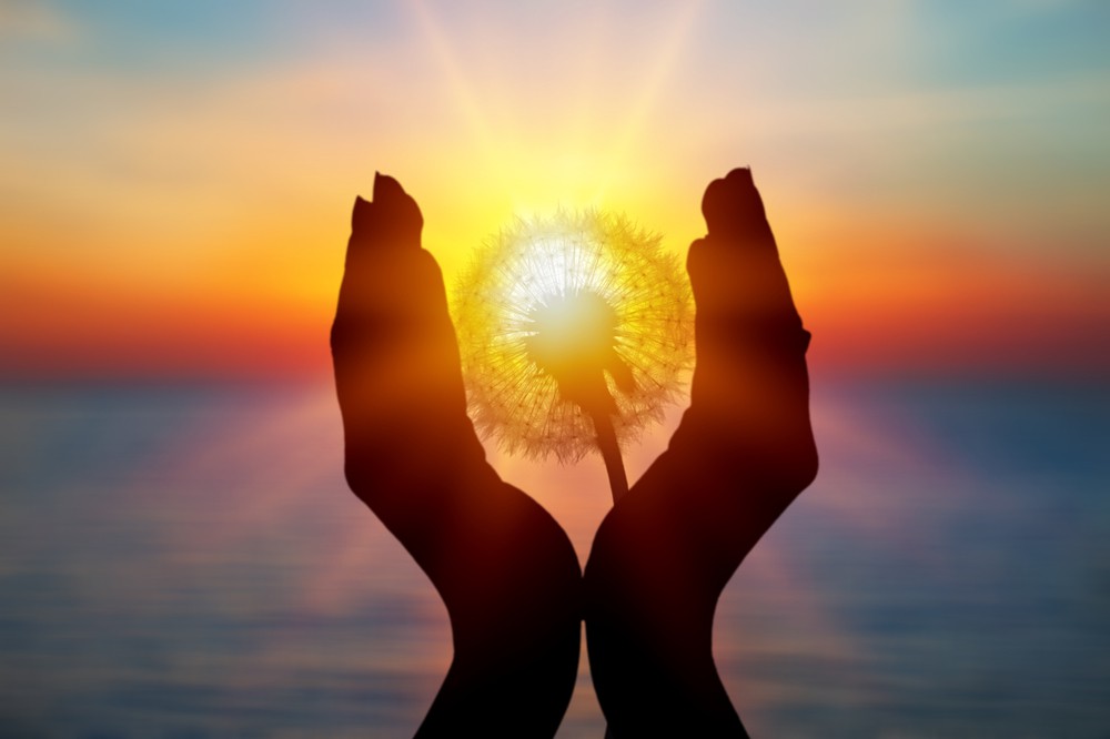 Jenseitskontakte und Wissenschaft